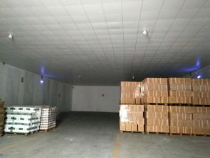 廣州奶粉進(jìn)口報關(guān)及糧油中轉(zhuǎn)倉儲全流程解析