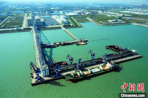 上海邊檢開辟查驗(yàn)綠色通道，助力入境糧油民生物資高效中轉(zhuǎn)倉儲